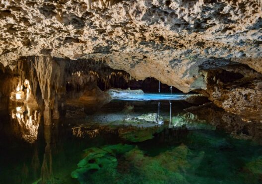 Sunlight falling through the roof opening of a cenote near Tulum