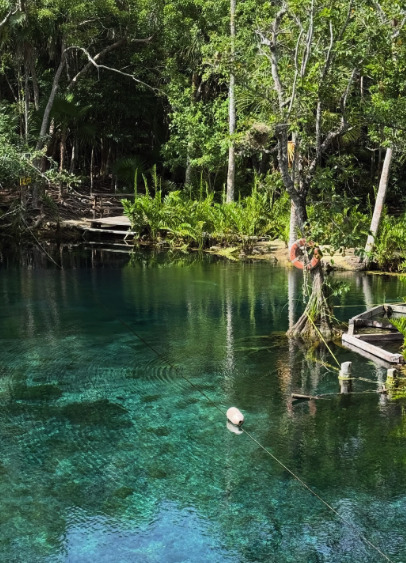 Turquoise shallows and limestone ledges at Gran Cenote, Tulum