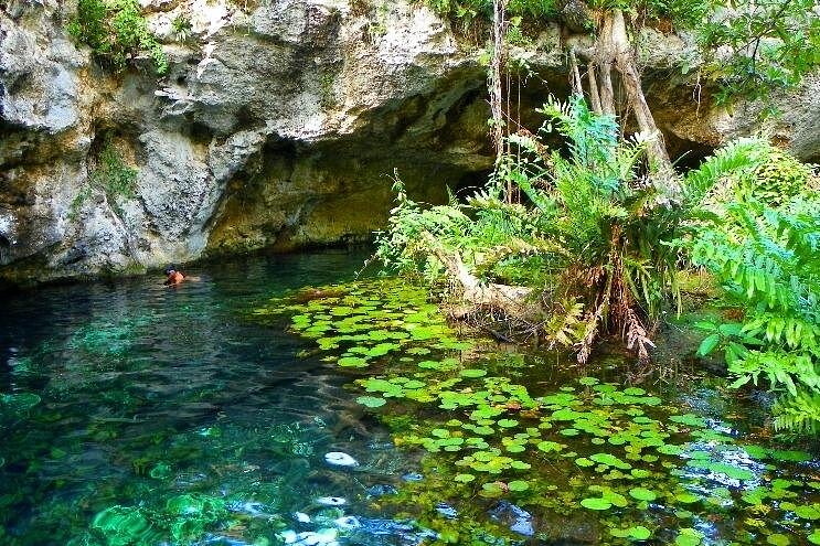 Half-Day Explore Tour of Tulum, Gran Cenote with Local Tacos