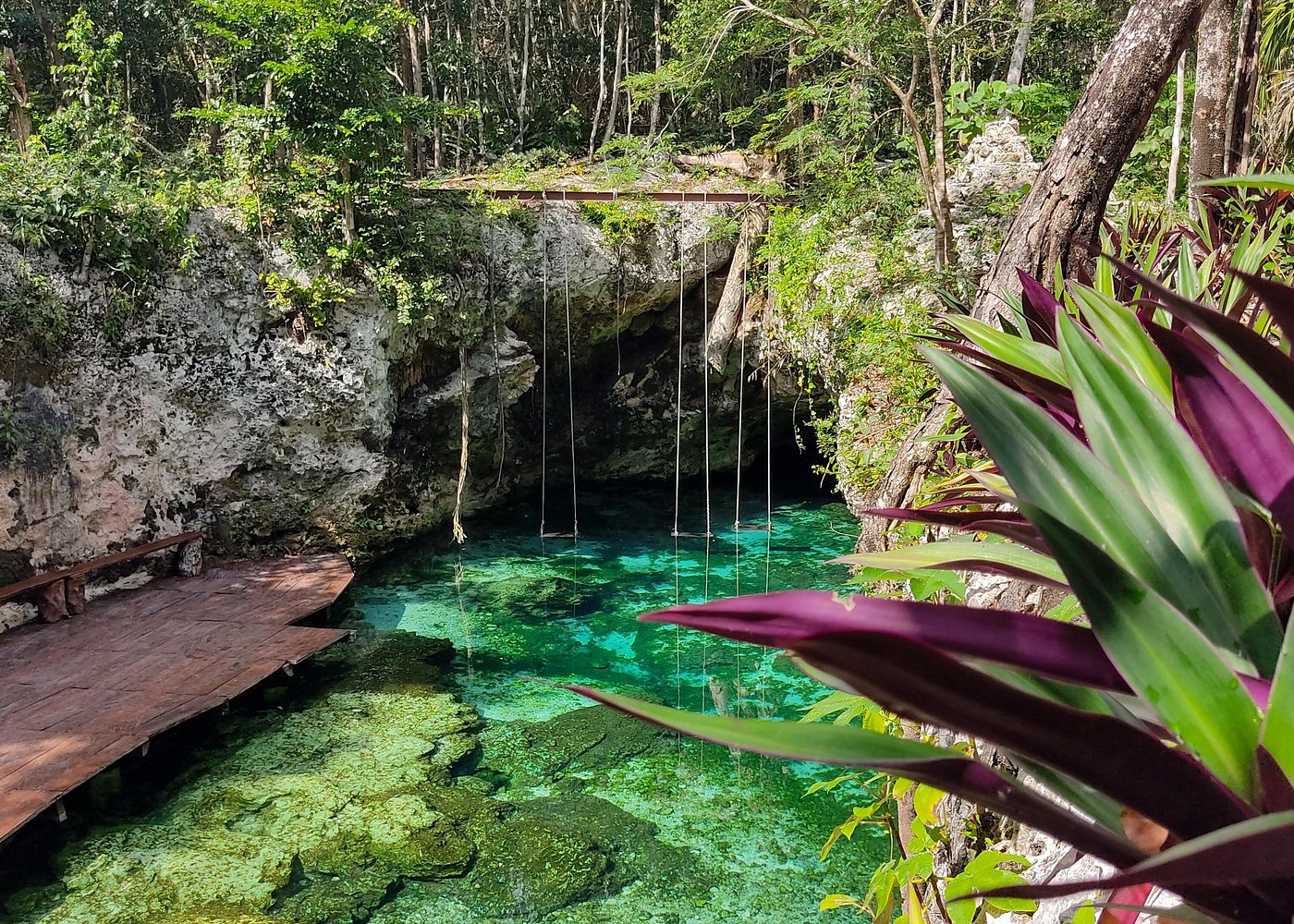 Tulum, Cenote and Playa del Carmen from Cancun