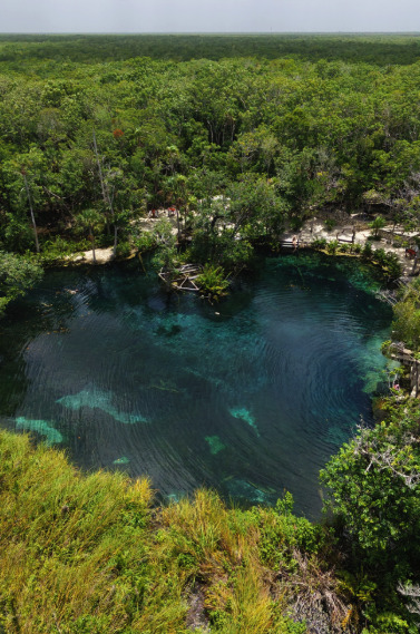 Aerial view of a circular cenote surrounded by dense jungle
