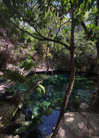 Open lagoon-style cenote fringed by mangrove and palms