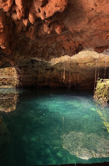 Wooden steps leading down into a cenote on a guided tour