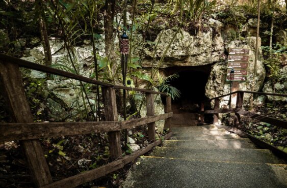 The entrance path and palapa roof at a cenote park near Tulum