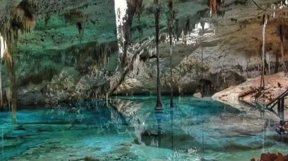 Swimmers in life jackets setting off across a cenote