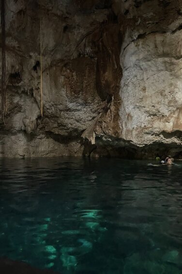 Limestone walls and tree roots reaching the water in a cenote