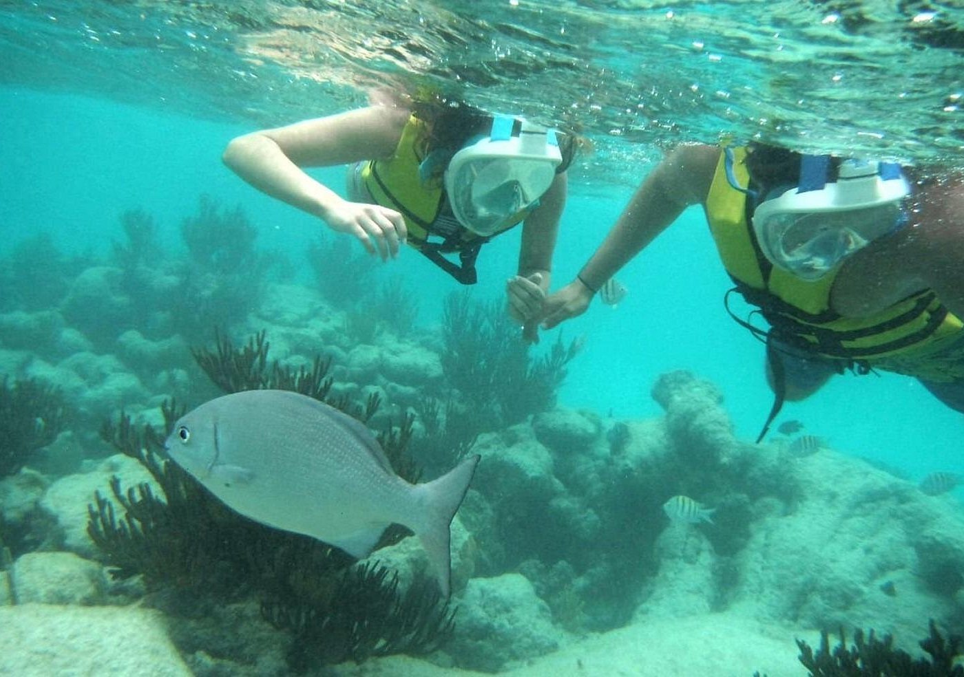Full Day Tulum Ruins Tour Cenote and Swimming with Sea Turtles